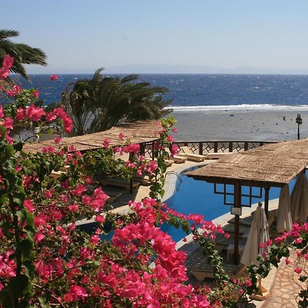 Nesima Resort Dahab Exteriér fotografie